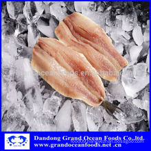 Frozen Herring fillet